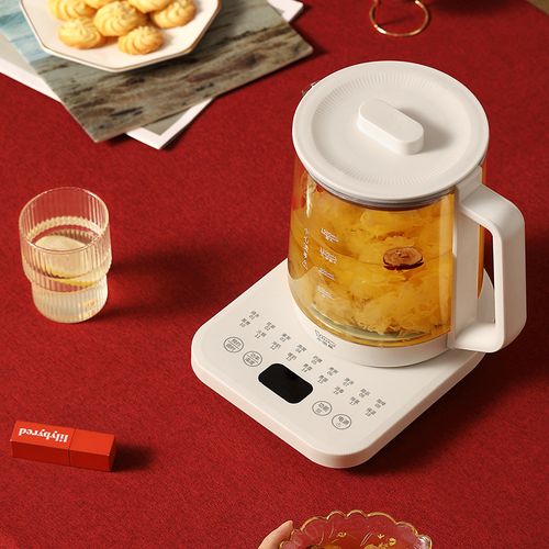 小浣熊电瓶电器_小浣熊 小熊 电器